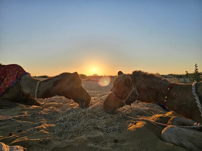 YB DESERT CAMP AND RESORTS: Bewertungen, Fotos & Preisvergleich (Salkha ...