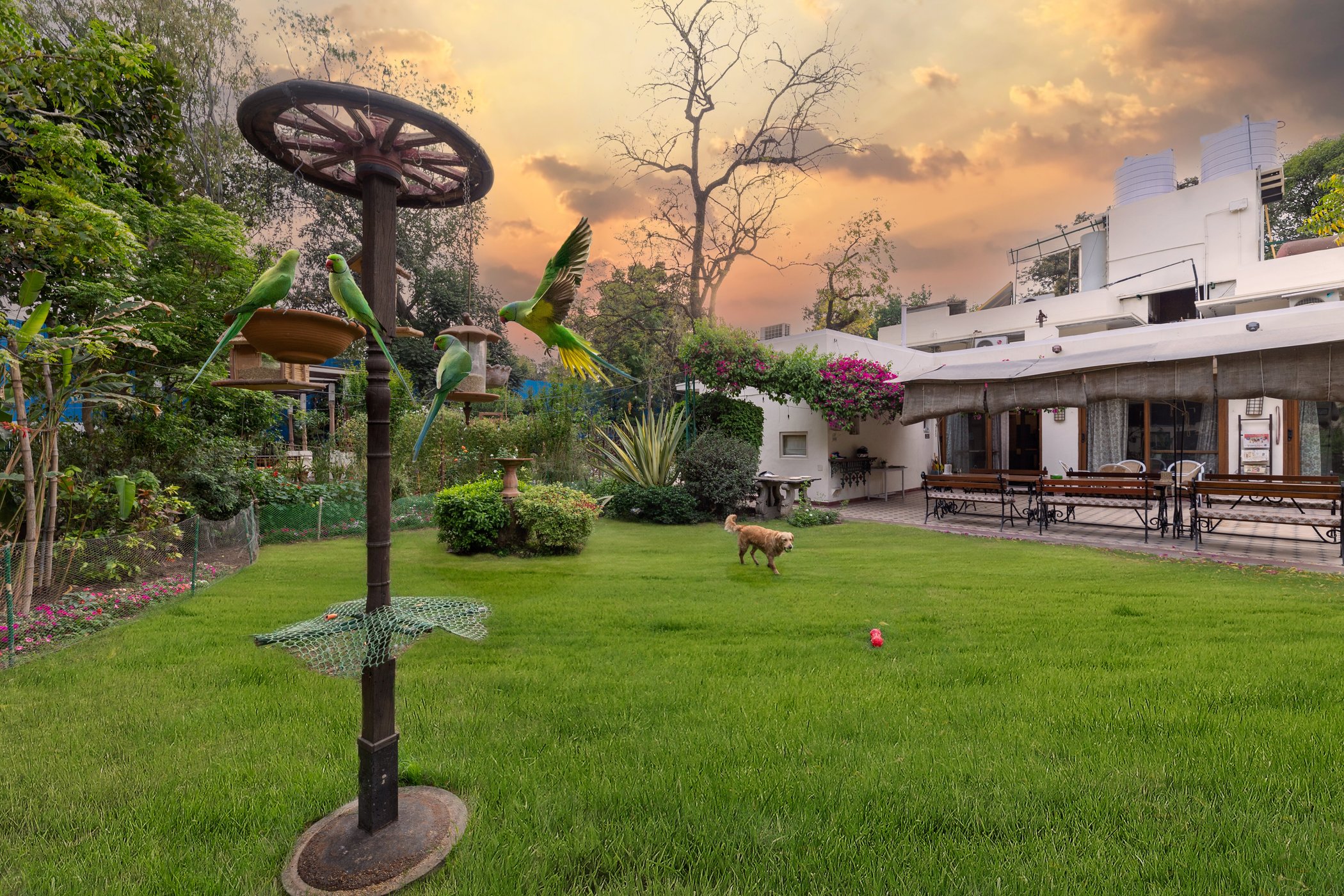 Lutyens Bungalow by null