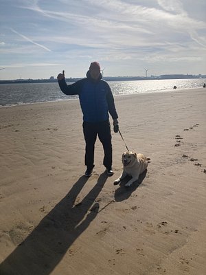 Large dog friendly beach