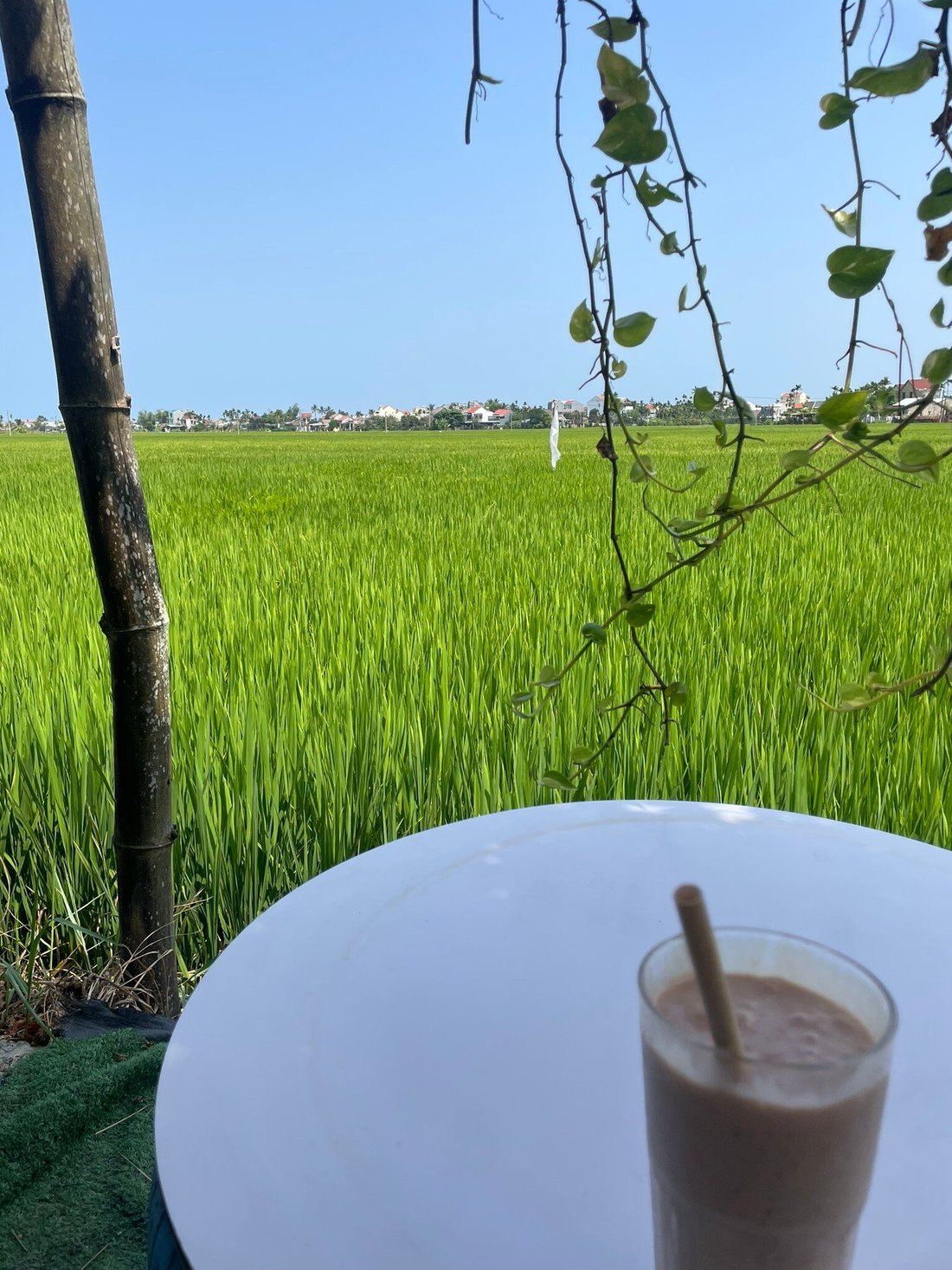 MAISON FLEUR LUXURY HOI AN - Updated 2025 Prices & Hotel Reviews (Vietnam)