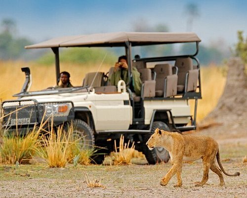private tour operators in botswana