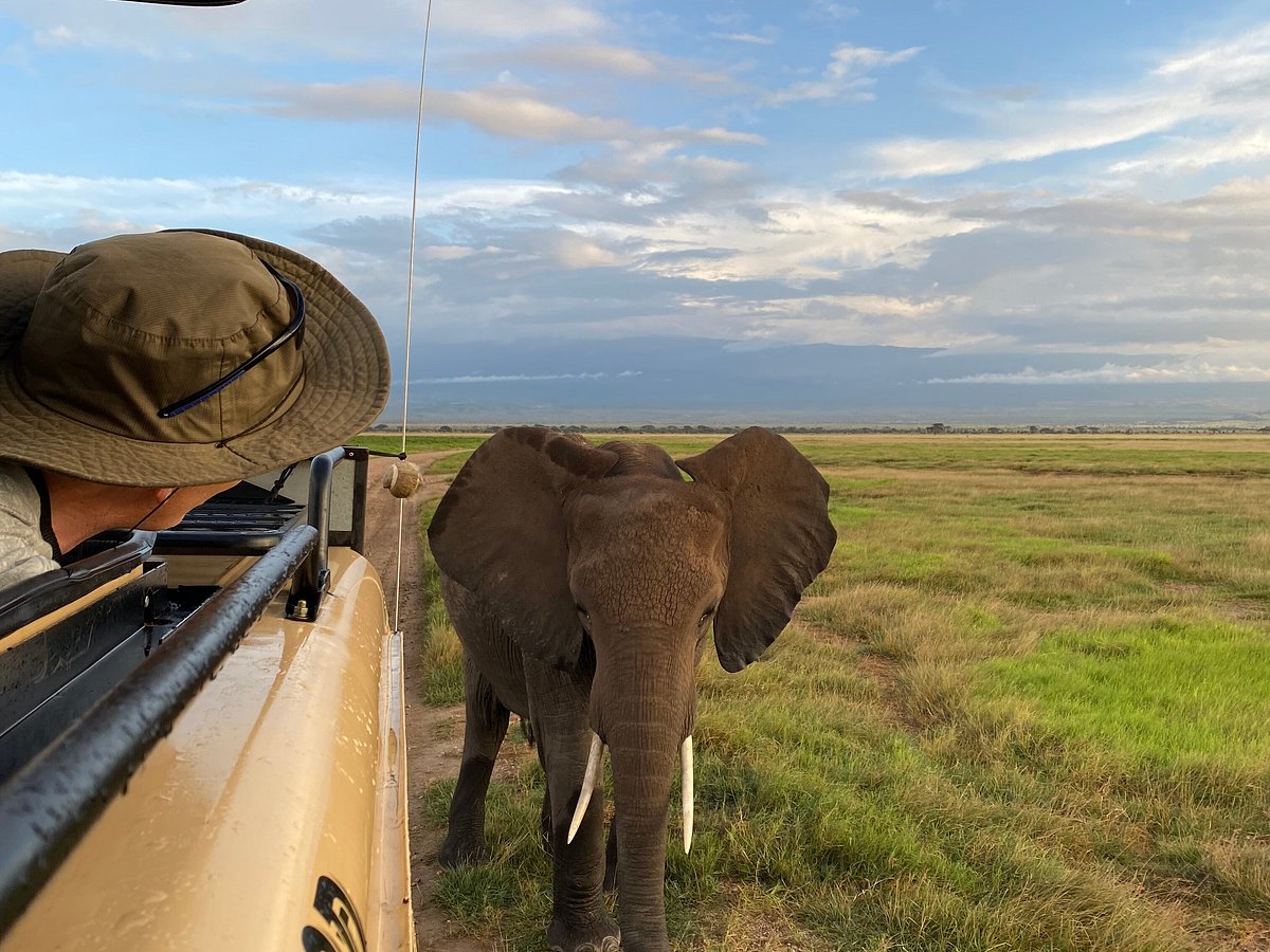 explorer kenya safari