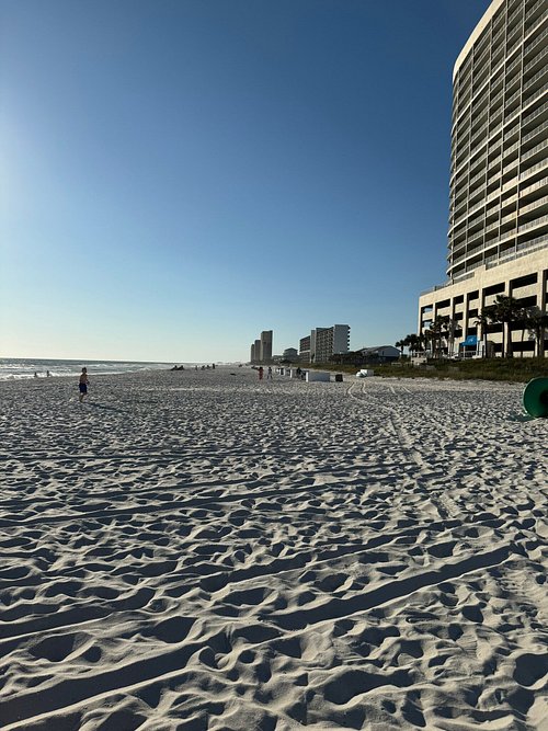 PALMETTO INN & SUITES $175 ($̶2̶3̶5̶) - Panama City Beach Motel 2024 ...