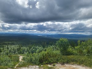 Resenär
