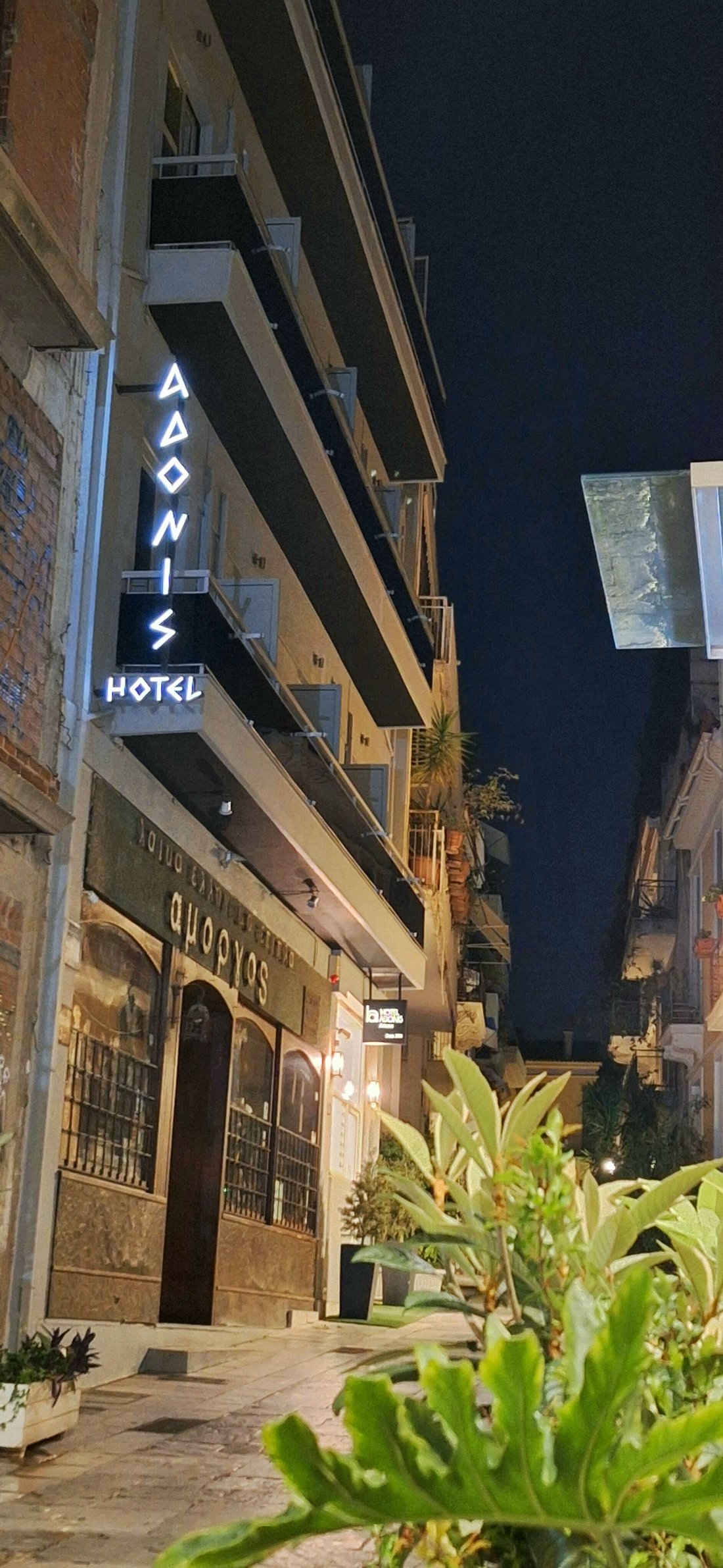 ADONIS HOTEL - Now €141 (Was €̶1̶5̶7̶) - UPDATED 2024 Reviews & Price  Comparison (Athens, Greece) - Tripadvisor