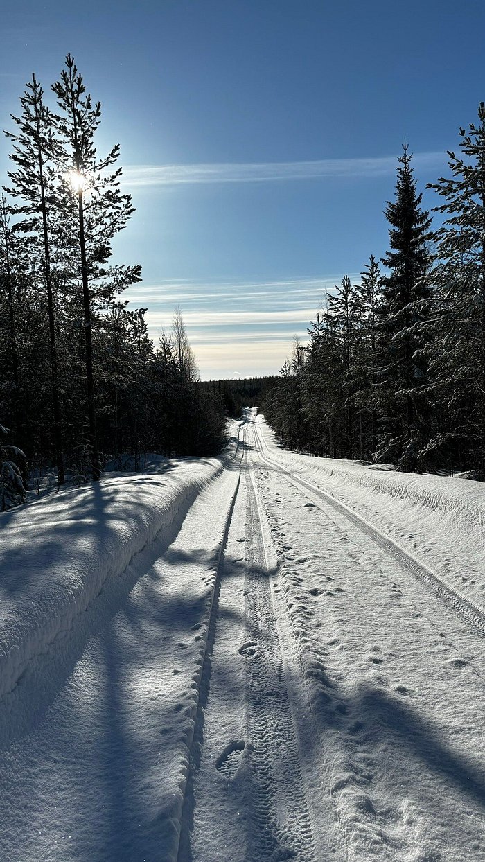 UKONLOMA COTTAGES (Рованиеми) - отзывы, фото и сравнение цен - Tripadvisor