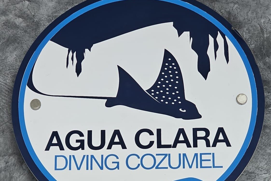 Agua Clara Diving (San Miguel de Cozumel) - Lohnt es sich? Aktuell für ...