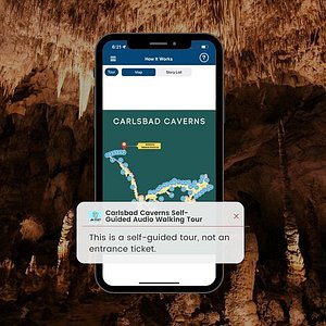 carlsbad caverns boat tours
