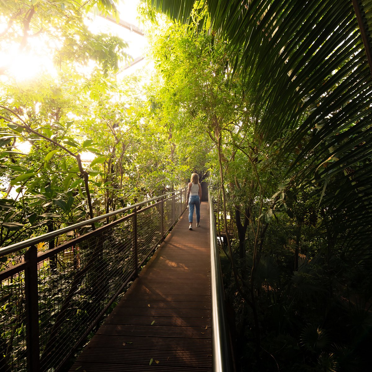 Papiliorama, Kerzers: лучшие советы перед посещением - Tripadvisor