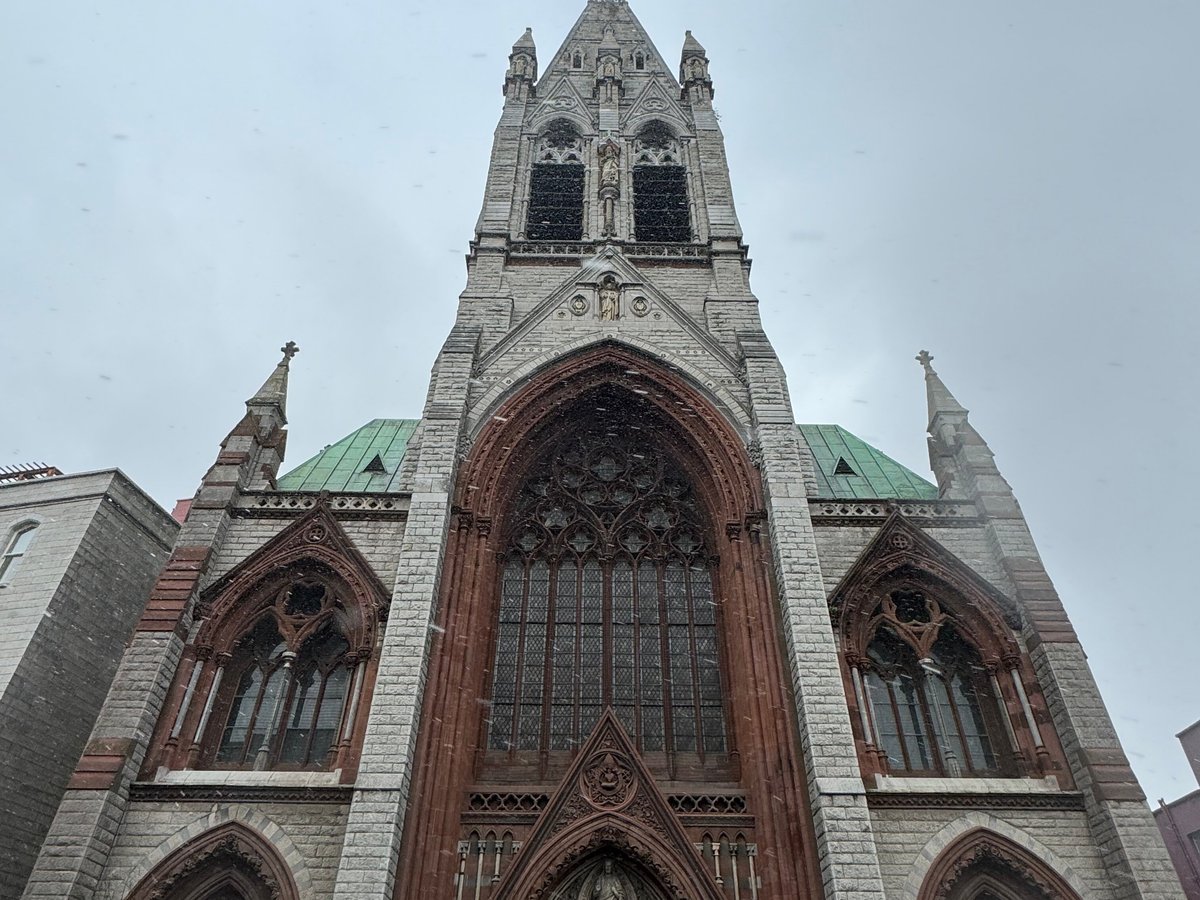 Colm Tipp Hogan Tourist Guide (Dublin) - Lohnt es sich? Aktuell für ...