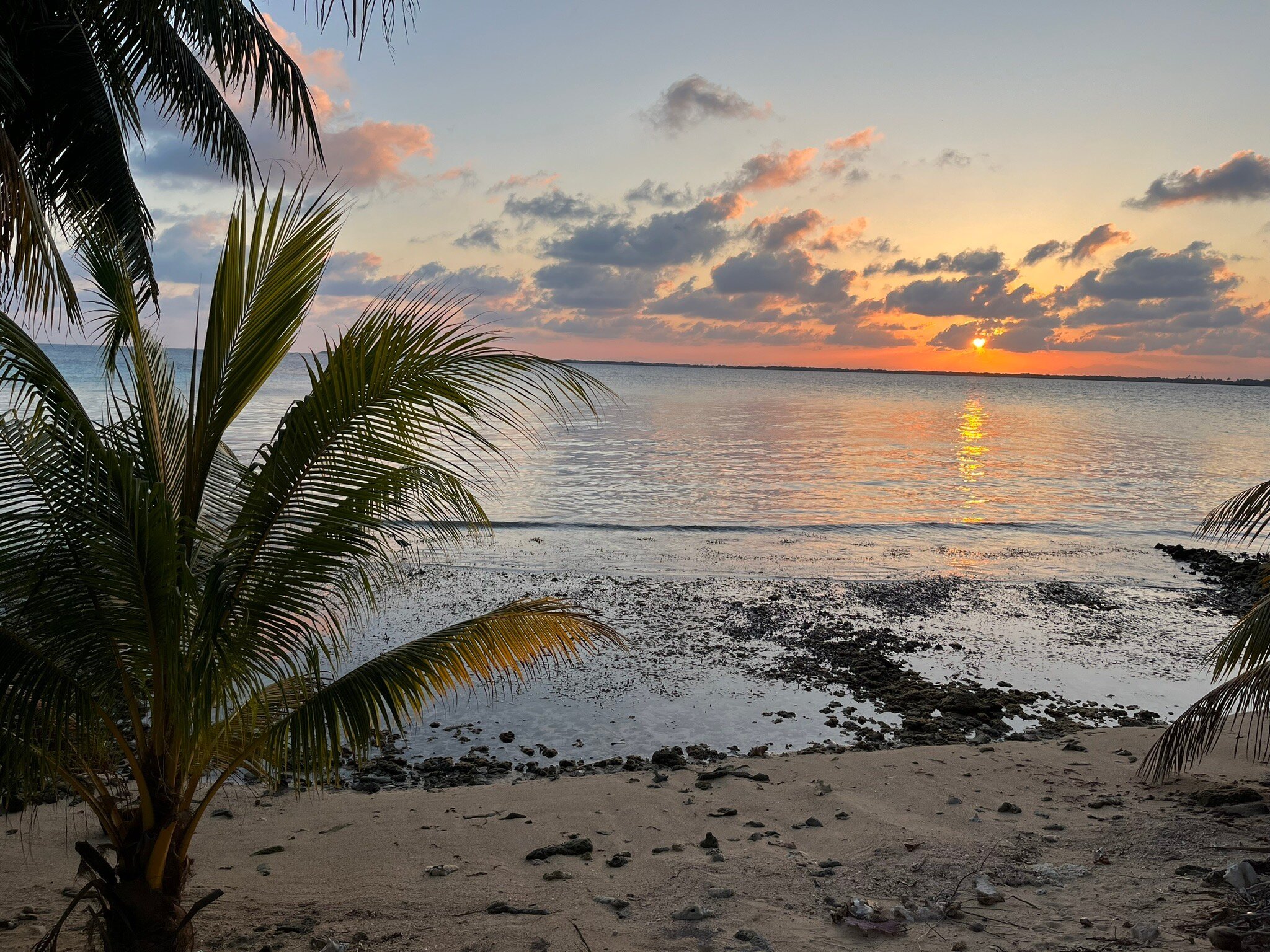 REEF'S END LODGE (Tobacco Caye, Belice) - Opiniones Y Comentarios - B ...