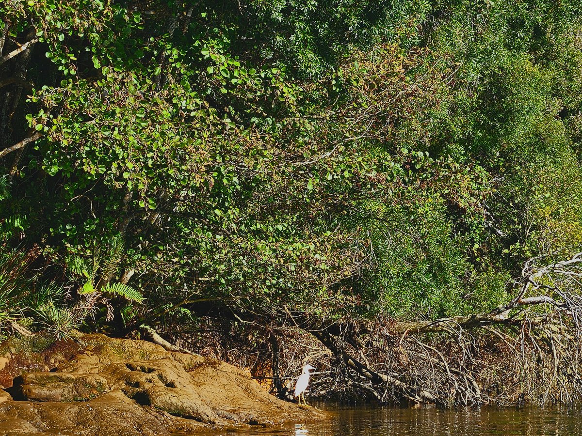 KAYAK, SUP, EXPEDICIONES "TRES CANELOS" (2025) All You Should Know