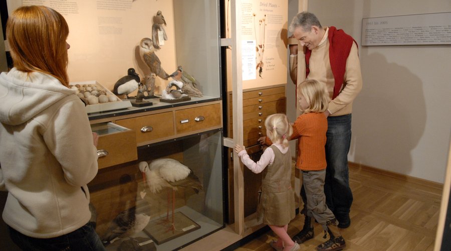Sammeln, Bewahren und Forschen im Dienst der Wissenschaft: Tauchen Sie in die Geschichte des Müritzeums ein und bestaunen Sie ausgewählte Exponate aus Flora, Fauna und Geologie der über 150-jährigen Sammlungsgeschichte. 