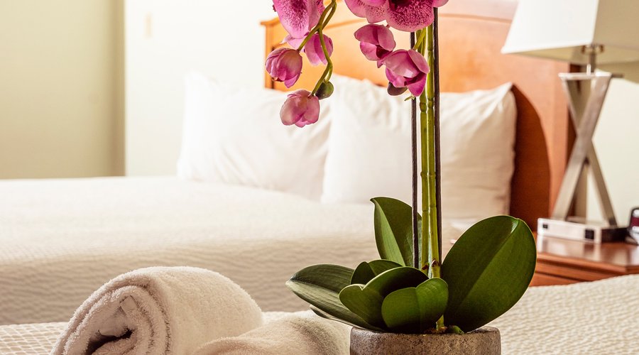 서비스 플러스 인 앤드 스위트 (Service Plus Inns & Suites Calgary, 캘거리) - 호텔 리뷰 & 가격 비교