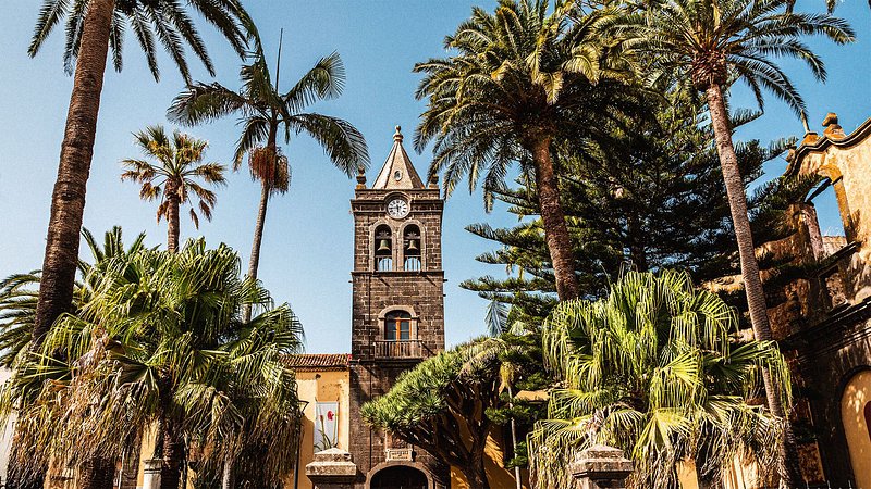 A church tower surrounded by palm trees.
