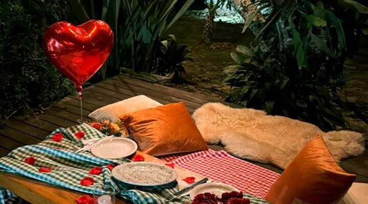 Picnic 