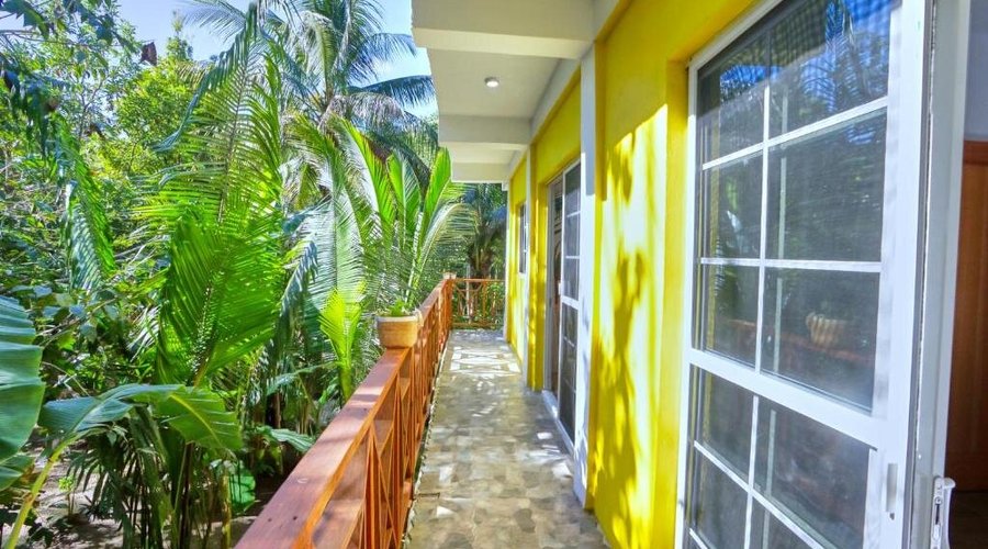 Wake up to birdsong and lush greenery. The villas at Villa Massis offer a true jungle immersion.