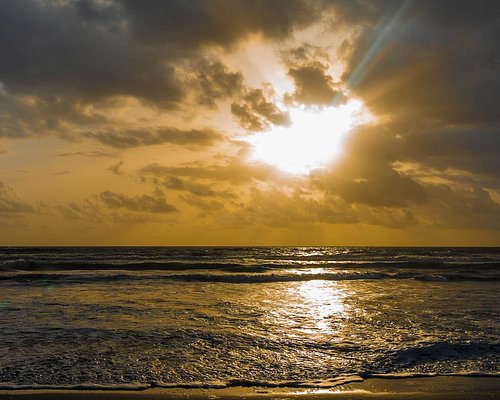 tortuguero boat tours