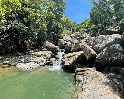 tours to yunque