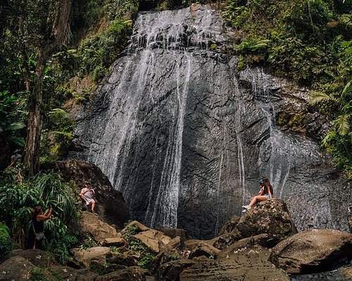 el yunque self guided tour