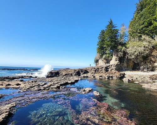day trips in victoria