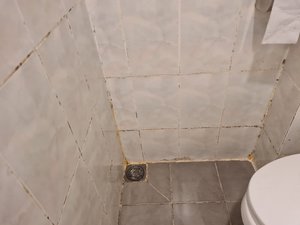 Khách du lịch