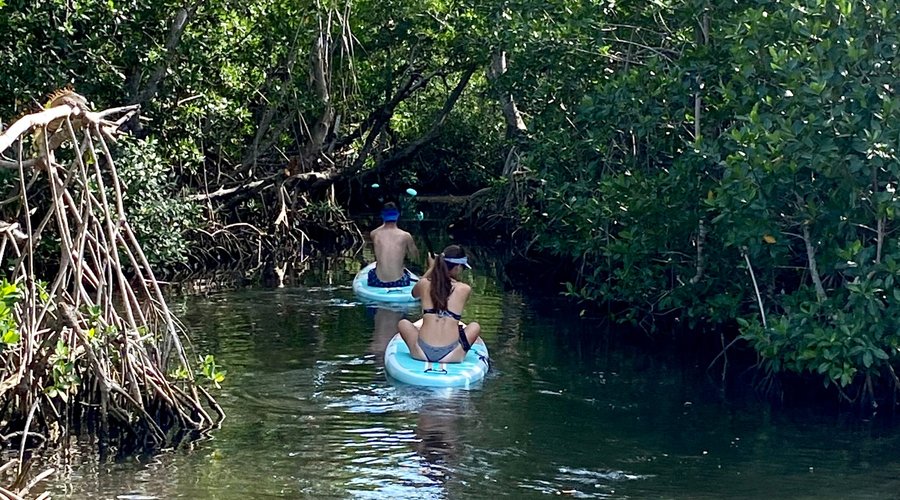 Bring your paddleboard!