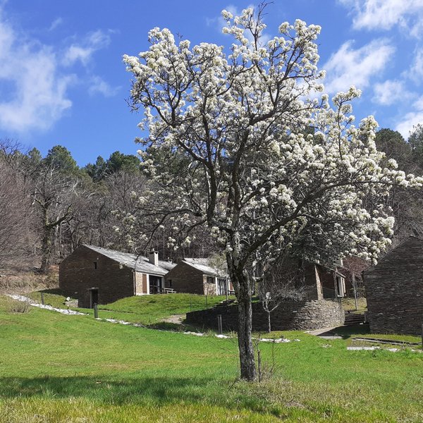 2025년 Lozere 통나무 산장 추천 베스트 5 - Tripadvisor 2025년 Lozere 통나무 산장 추천 베스트 5  - Tripadvisor