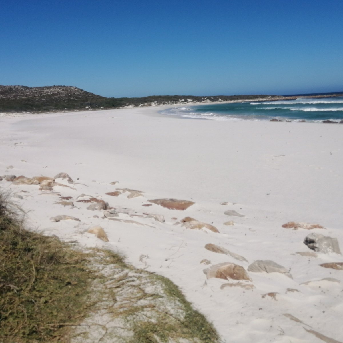 Full day Cape Point Tour (Stellenbosch, South Africa): Hours, Address ...