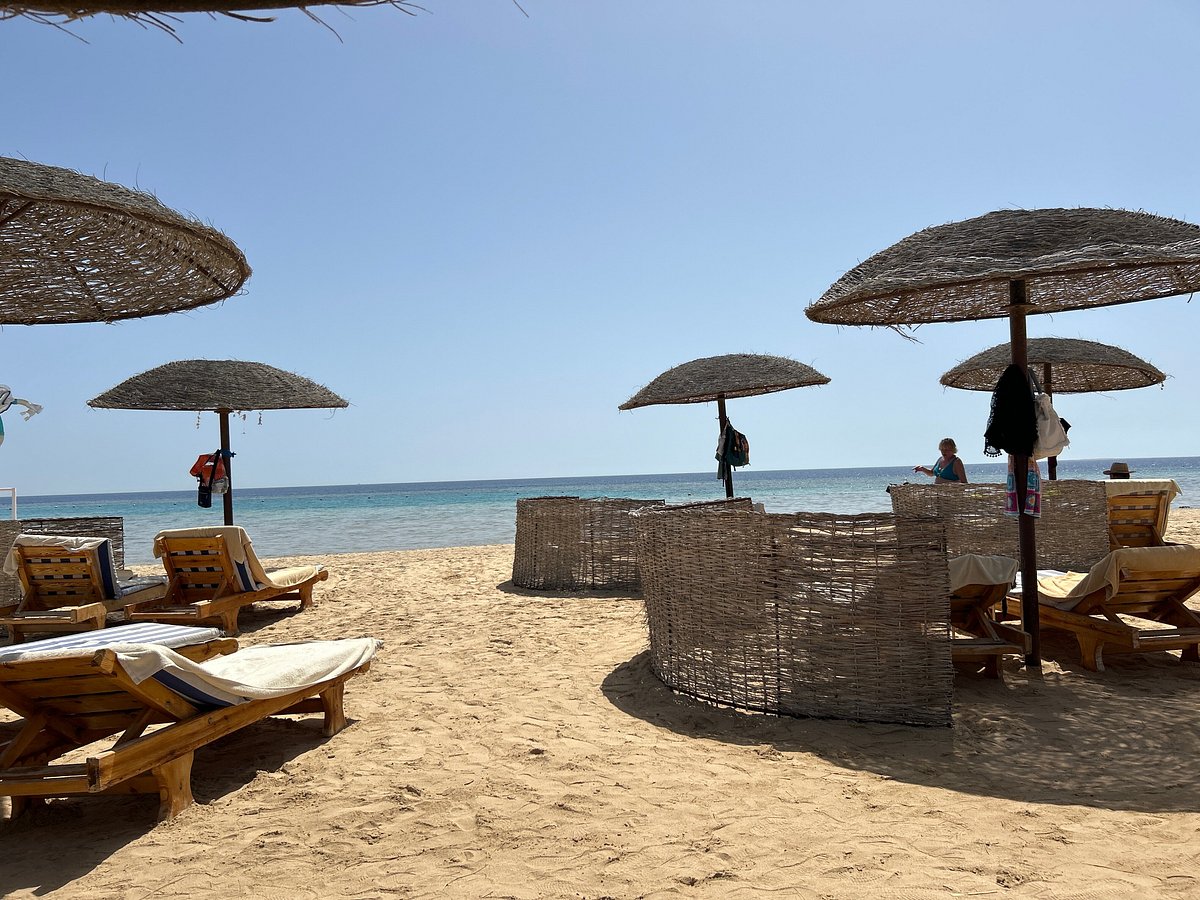 GORGONIA BEACH RESORT - Updated 2024 Prices & Hotel Reviews (Marsa Alam,  Egypt)