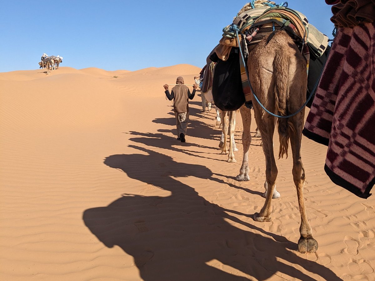 Sahha Sahara, Дуз: лучшие советы перед посещением - Tripadvisor