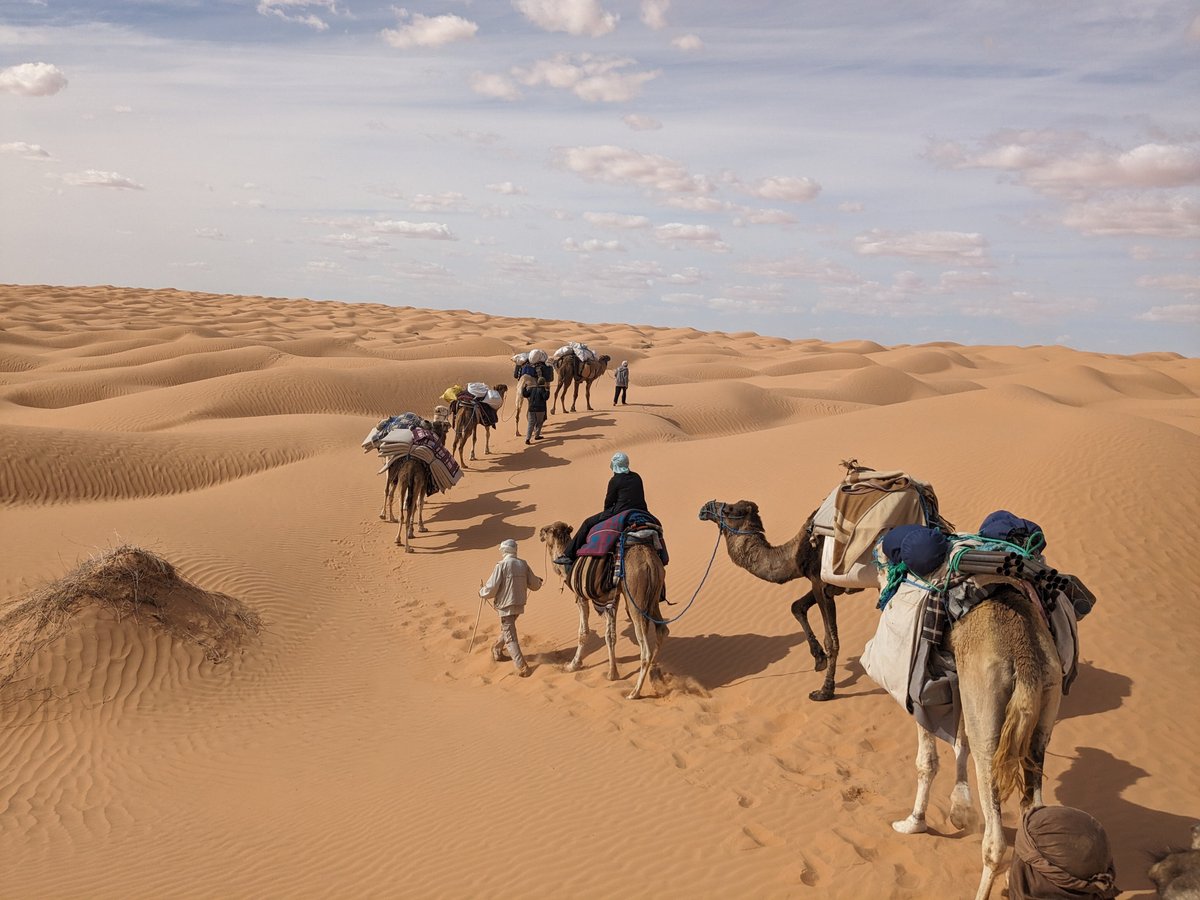 Sahha Sahara, Дуз: лучшие советы перед посещением - Tripadvisor