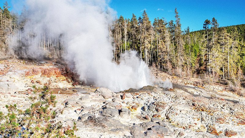 Steamboat Geyser Erupting in Norris Geyser Basin at Yellowstone