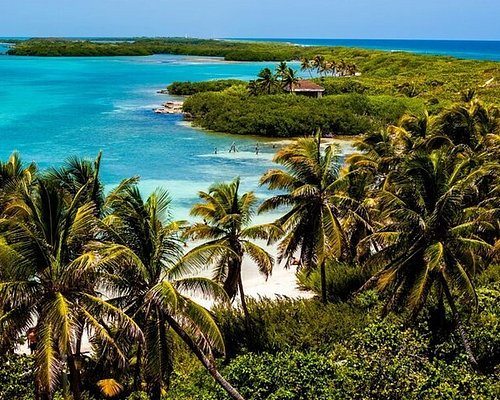 isla mujeres excursion tripadvisor