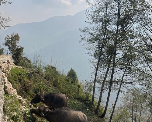 pokhara hiking tours