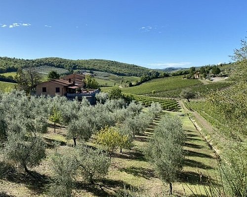 tripadvisor tuscany wine tour