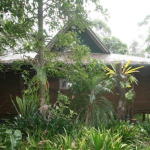 Quaint kittle Kabin in Lamington National Park