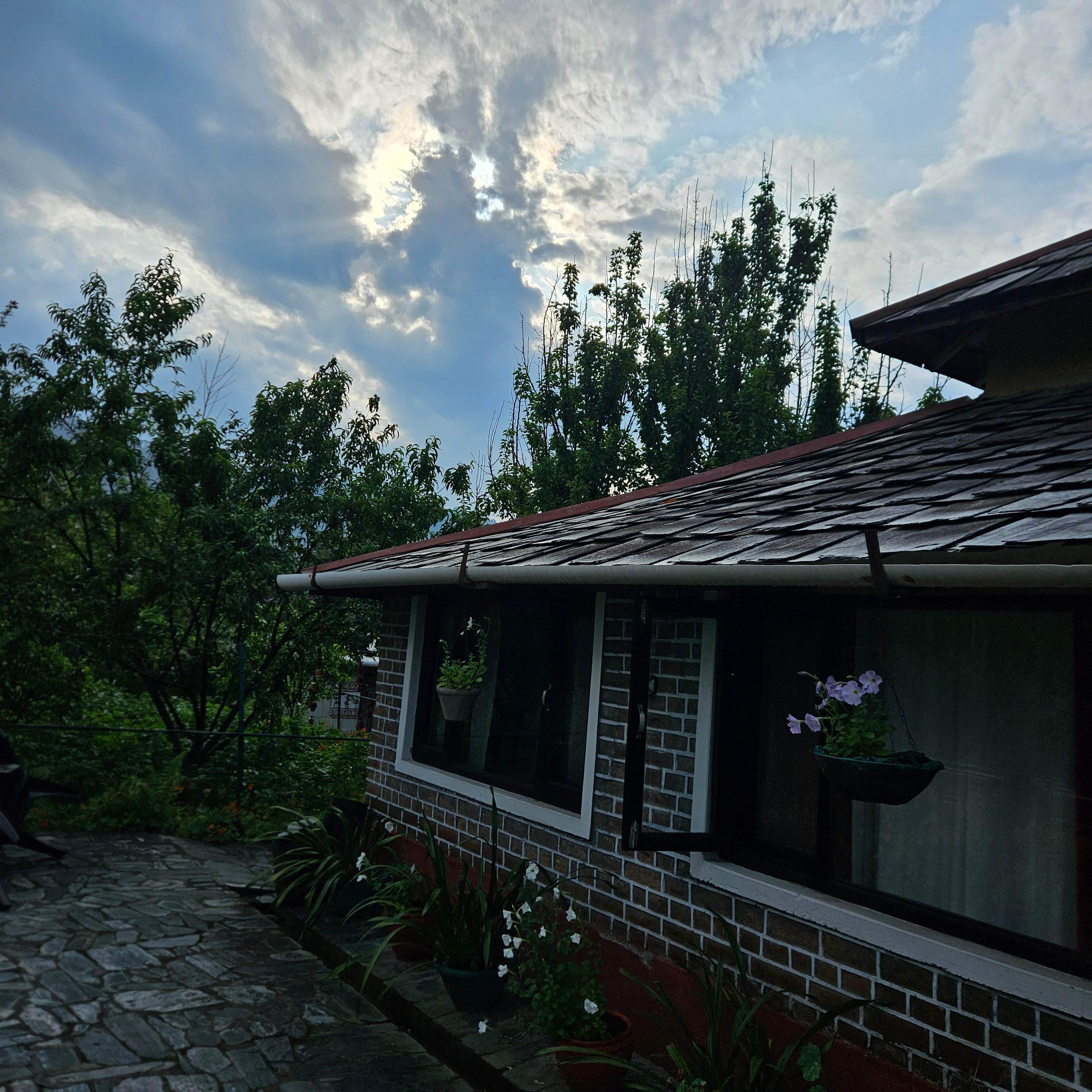 DARANG TEA ESTATE (Kangra, Himachal Pradesh) - Hotel Reviews & Photos ...