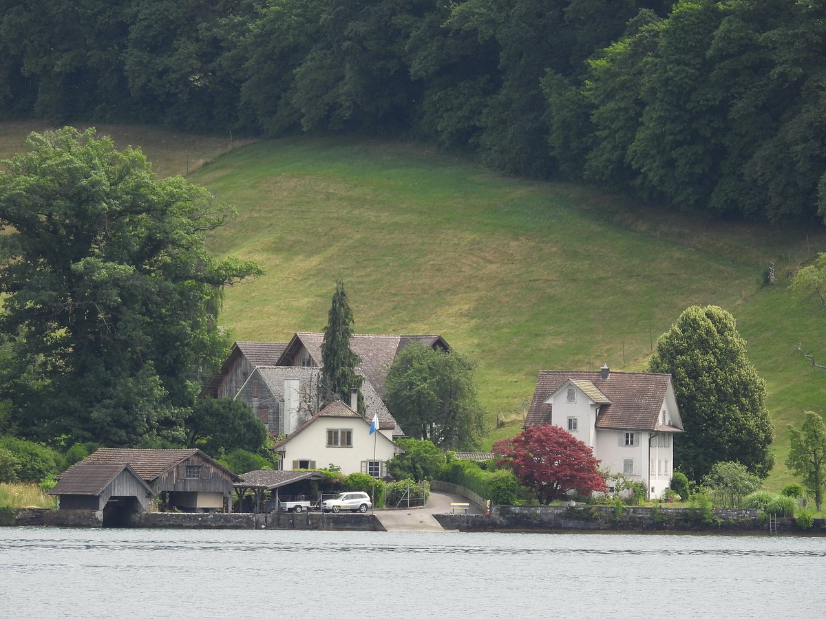 Schifffahrtsgesellschaft des Vierwaldstättersees, Люцерн: лучшие советы  перед посещением - Tripadvisor