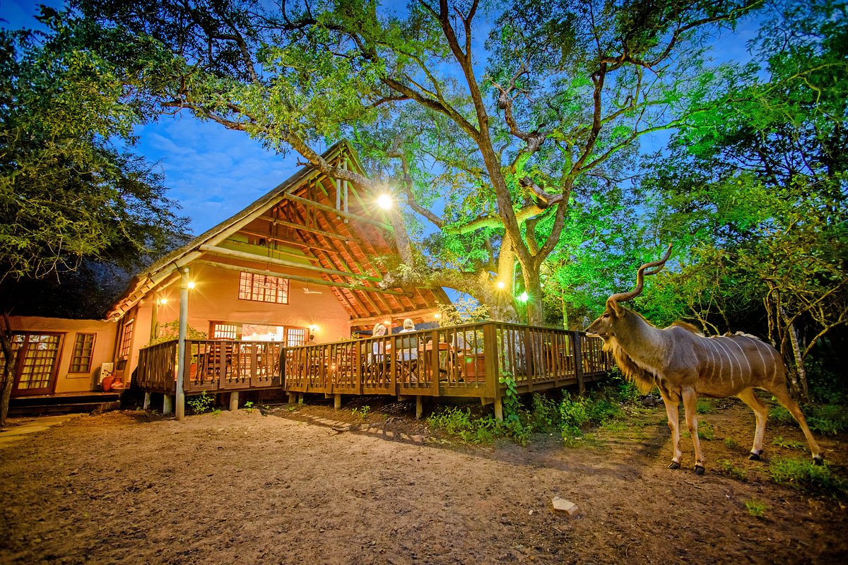 A small lodge with view of Crocodile River - Review of Crocodile Kruger  Safari Lodge, Marloth Park, South Africa - Tripadvisor