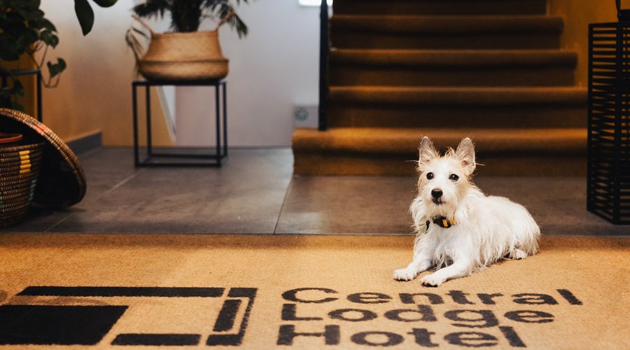 Pet friendly