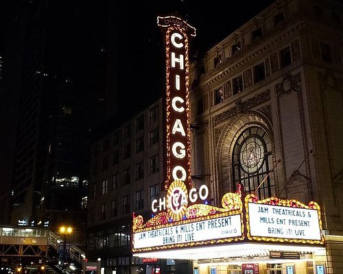 chicago night tours
