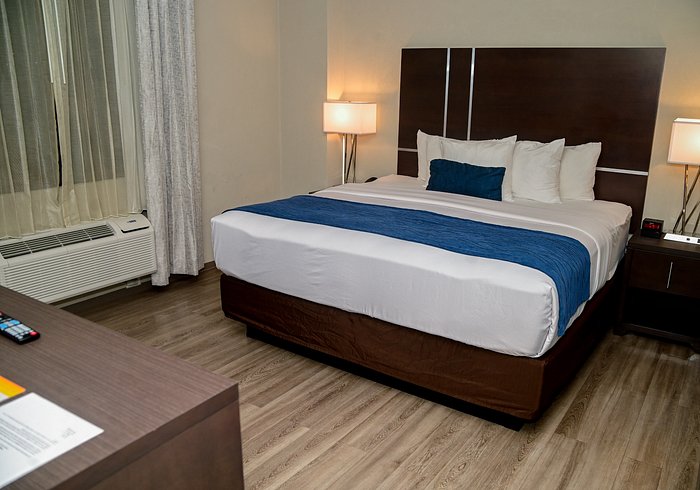 Standard King Room with premium bedding
