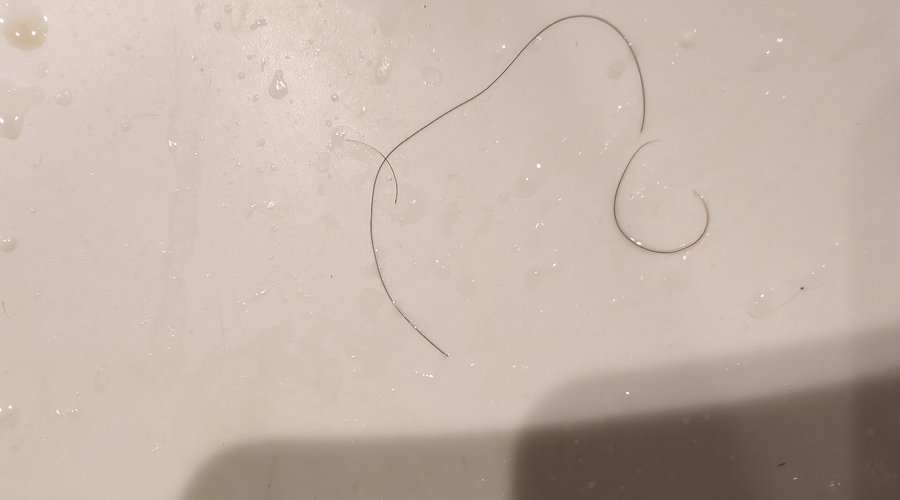 This is the biggest hair that was in my sink when I checked in.
