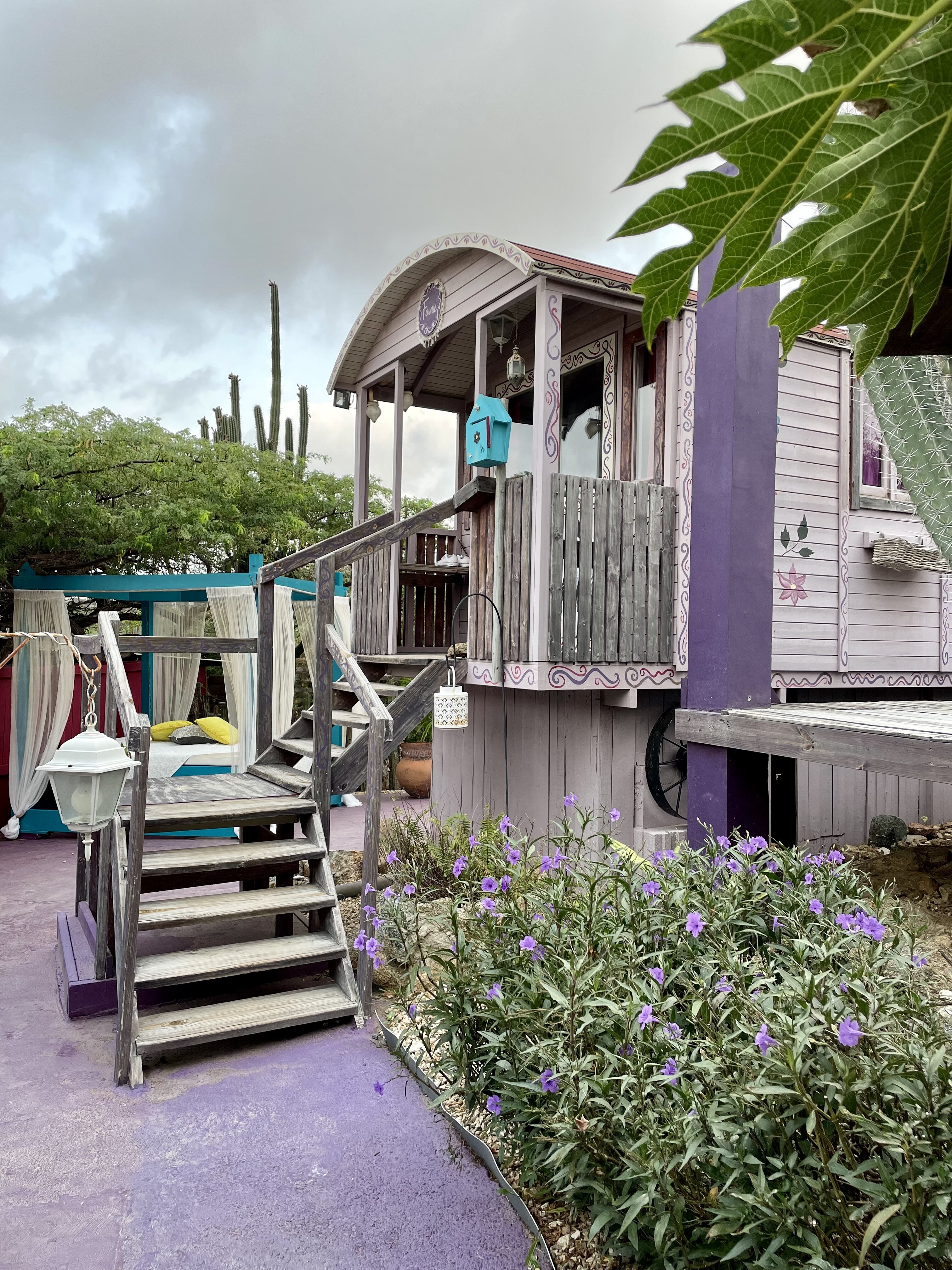 MAMMALOE'S B&B - Updated 2024 Prices & Lodge Reviews (Aruba/Santa Cruz)