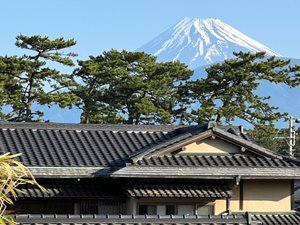旅行者の写真