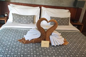 Room & Suite