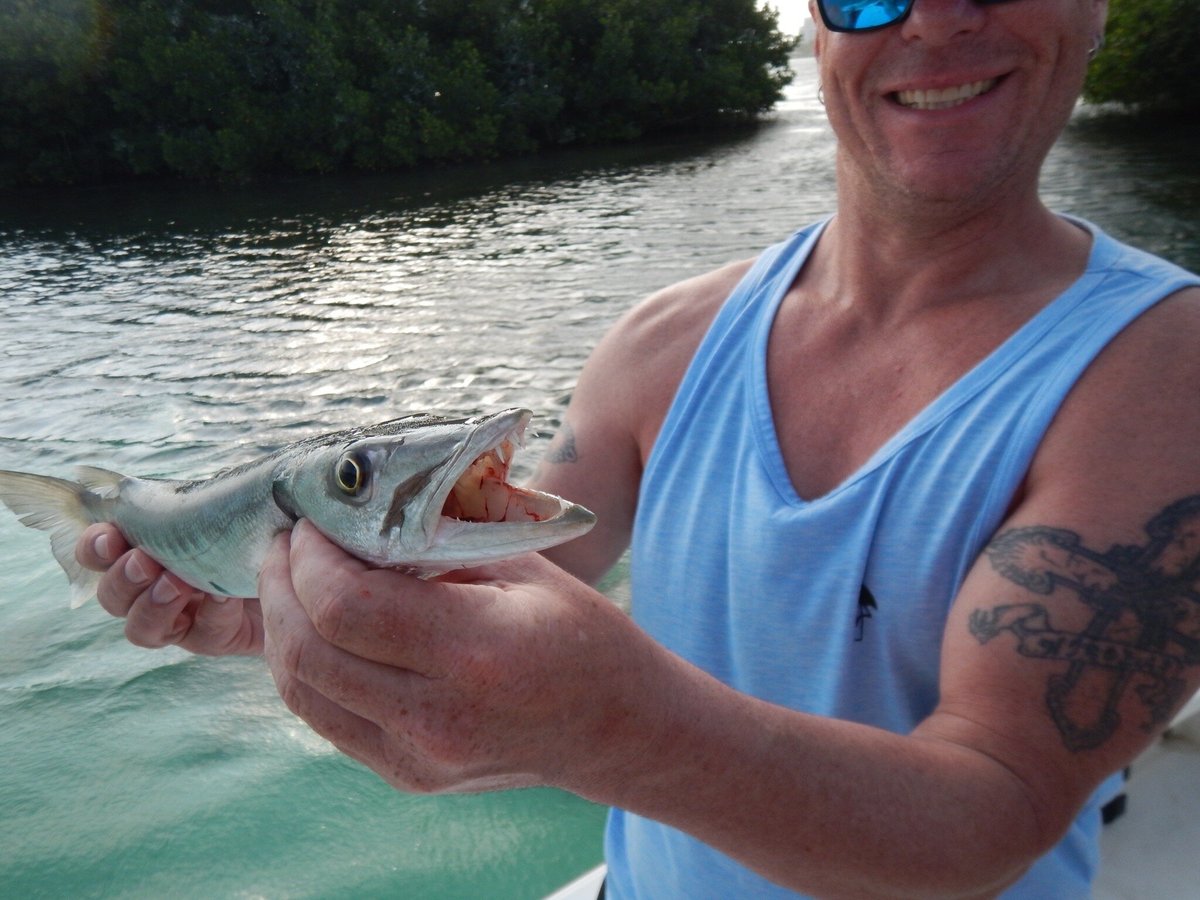 Cancun Tarpon Fishing, Канкун: лучшие советы перед посещением - Tripadvisor