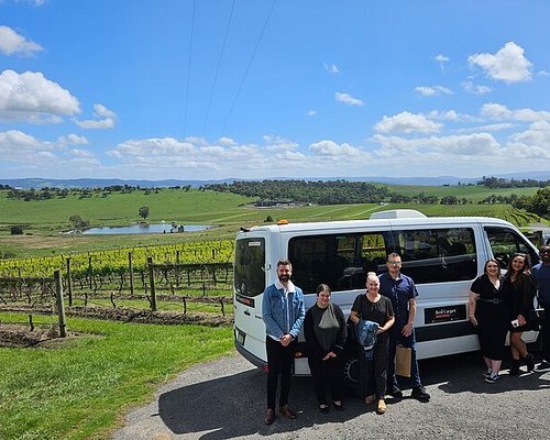 yarra valley vineyard tour
