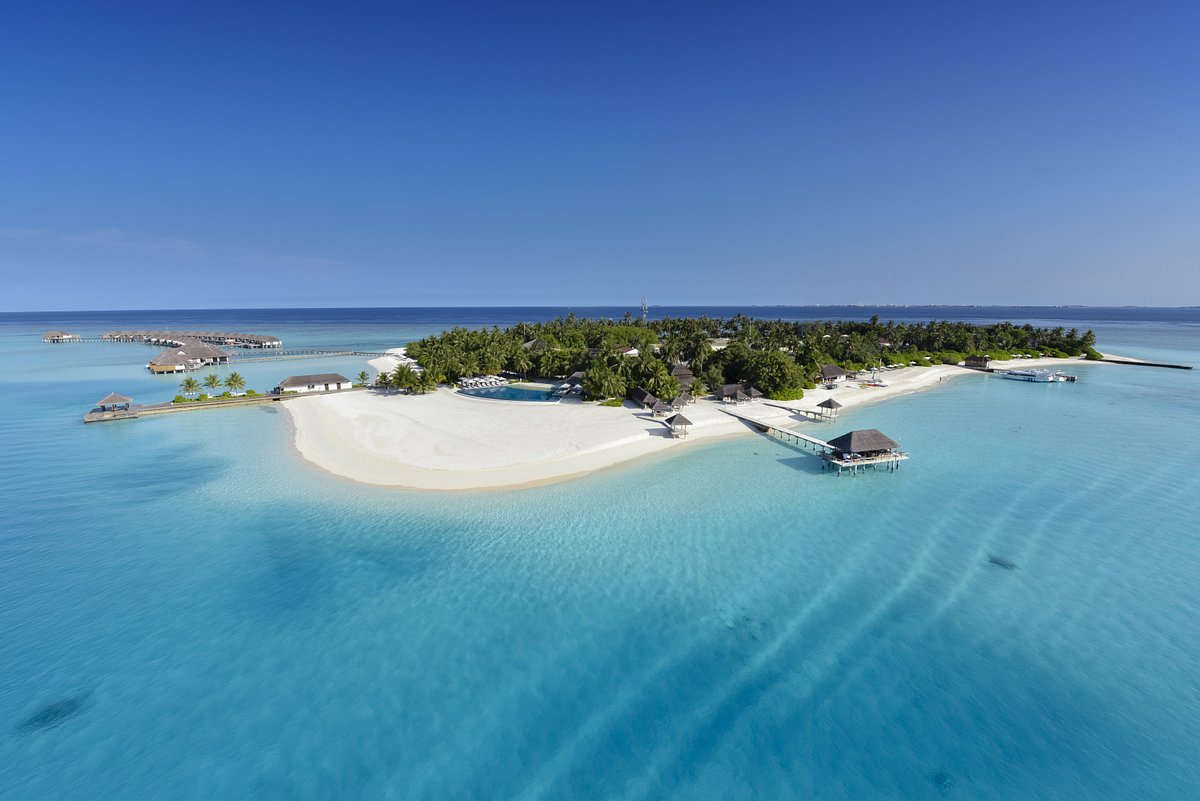 Солнечный остров - отзыв о Velassaru Maldives, Velassaru Island -  Tripadvisor